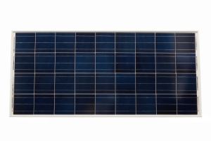 BlueSolar Polycrystalline Panel - front